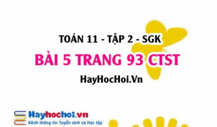 Bài 5 trang 93 Toán 11 tập 2 Chân trời sáng tạo